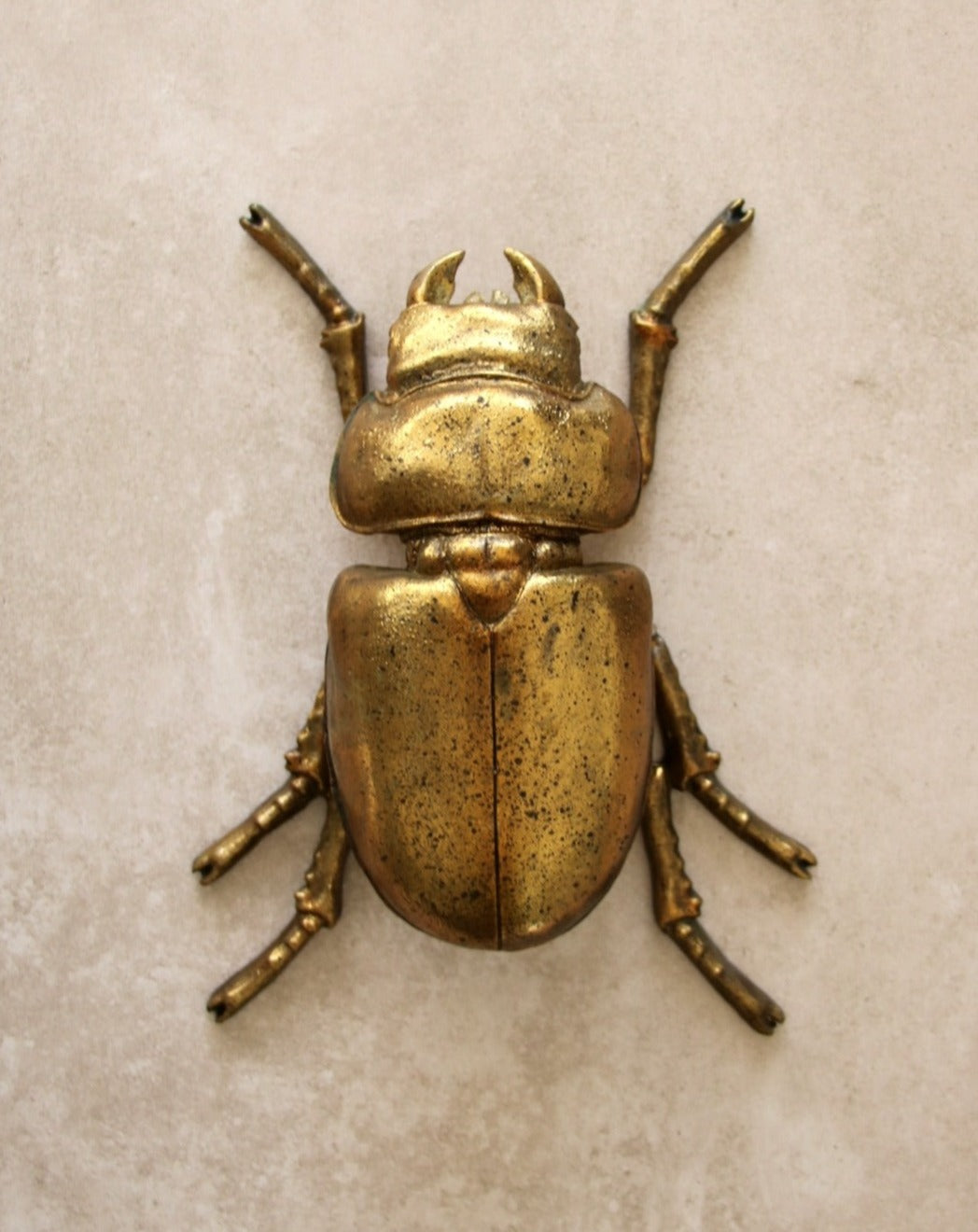 Escarabajo Dorado