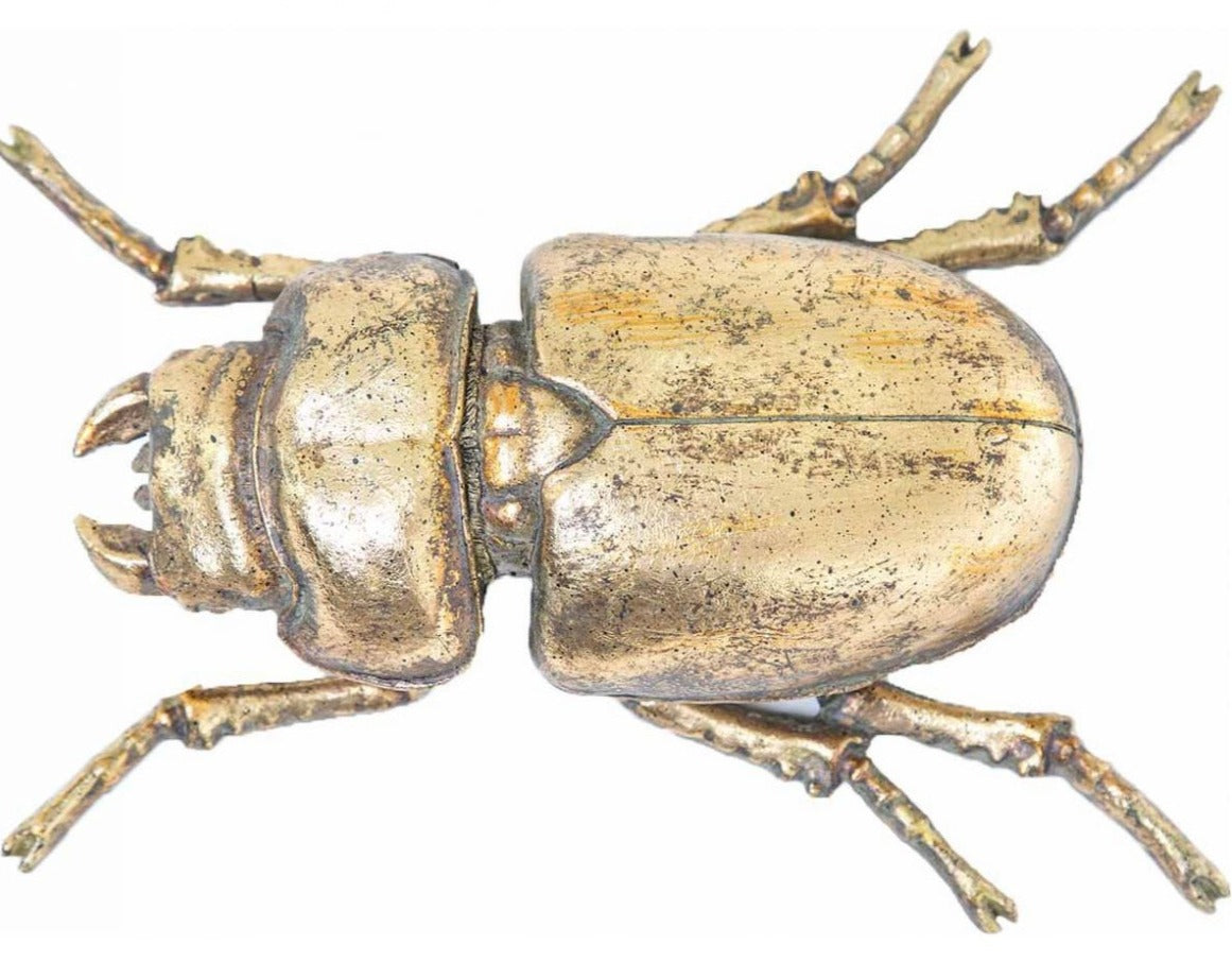 Escarabajo Dorado